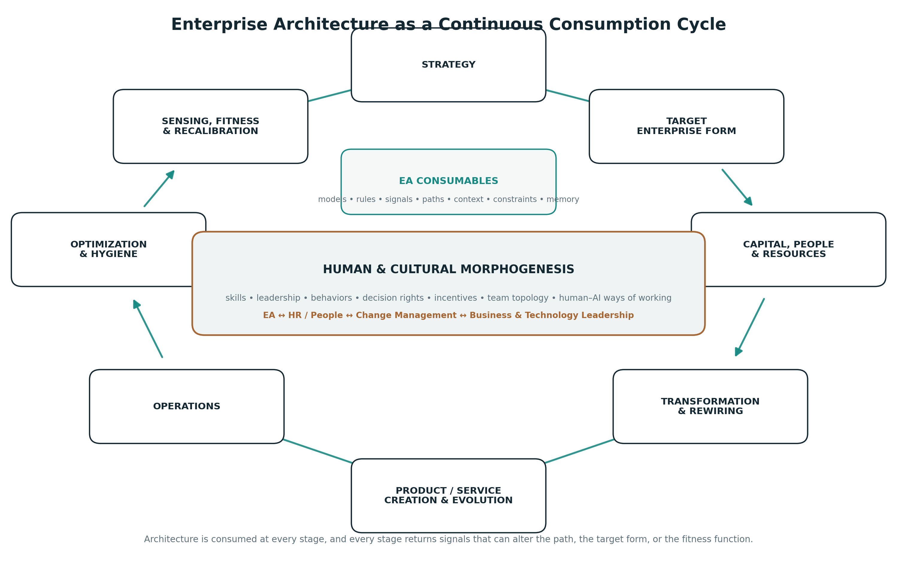 Enterprise Architecture continuous-consumption cycle linking strategy, target form, transformation, delivery, operations, optimization, sensing, and recalibration; human and cultural transformation crosses the full loop.